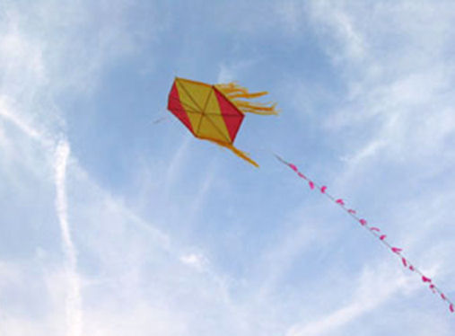 De Surinaamse vechtvlieger