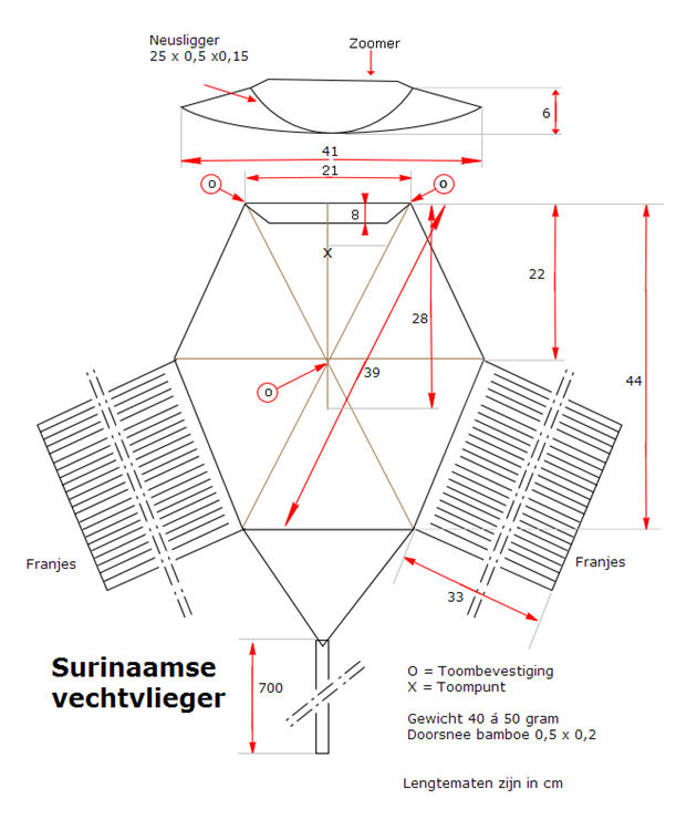 Maak je eigen Surinaamse vechtvlieger