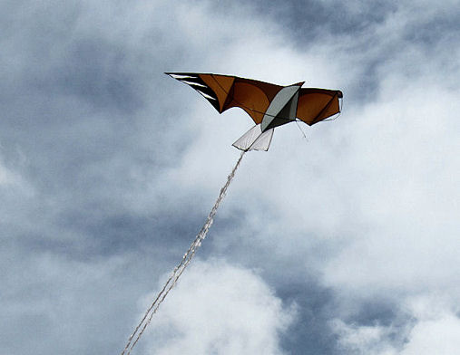 Adelaar hoog in de lucht