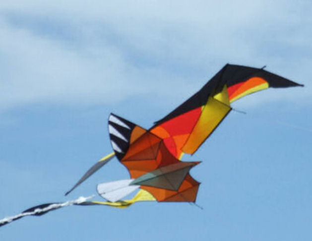 Vlieger, voor jong en oud