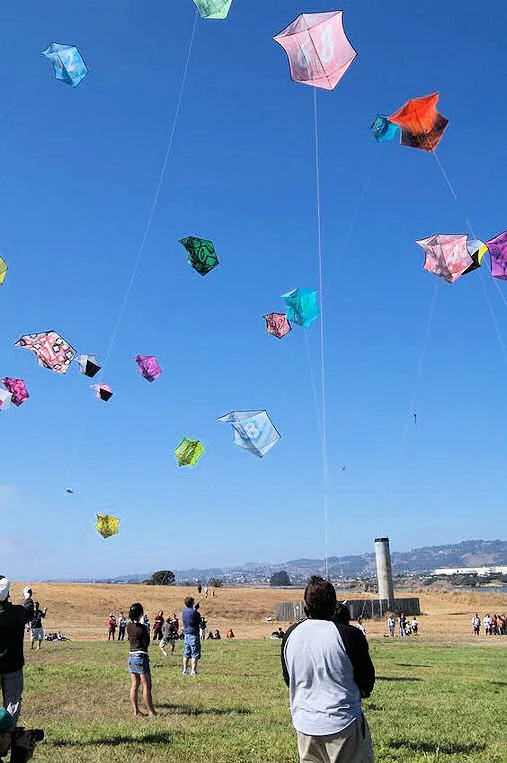 De Rokkaku Dako vechtvlieger uit Japan