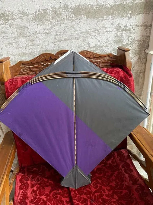 De Patang vechtvlieger