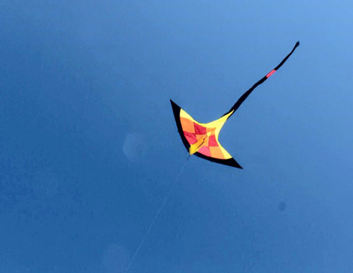 Vliegerdemonstratie & Workshop,van het Vliegerteam EVENTS