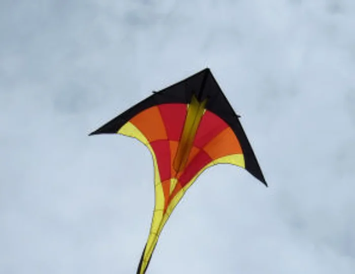 Vlieger-demonstratie